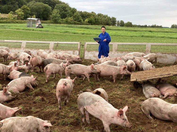 Poboljšanje kvalitete mesa svinja i tovnih pilića
