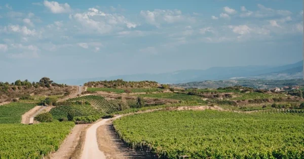 Najava studijskog putovanja u Cipar odobrenog kroz Poziv u 2025. godini