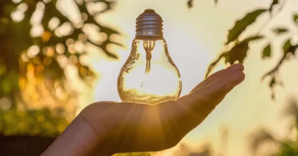 Održana radionica na temu osnivanja tematskih radnih grupa Mreže