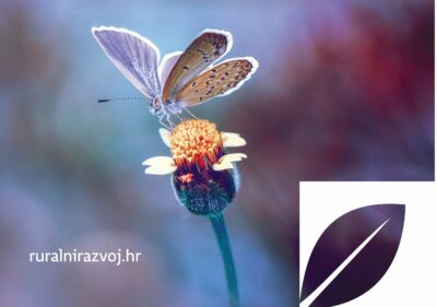 Podnošenje Jedinstvenog zahtjeva za izravne potpore i IAKS mjere ruralnog razvoja - obavijest o produljenju roka MPS Poljoprivrednik