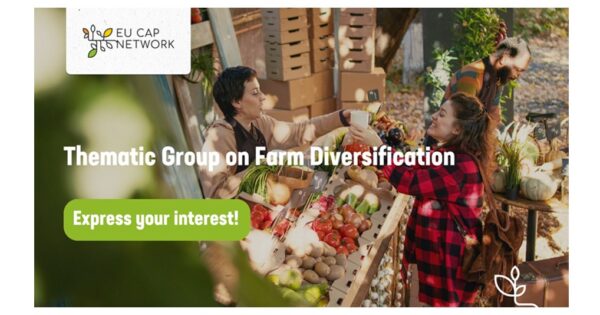 Nova tematska grupa EU ZPP mreže “Diverzifikacija poljoprivrednih gospodarstava” – prijave u članstvo primaju se do 1. prosinca 2025.