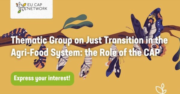 Postanite član nove tematske grupe EU mreže ZPP-a o pravednoj tranziciji u poljoprivredno-prehrambenom sustavu – prijave su otvorene do 19. veljače 2026. godine