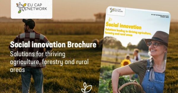 Brošura EU ZPP Mreže o društvenim inovacijama