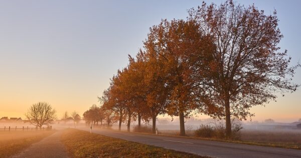 Prva radionica za potencijalne korisnike intervencije 73.13., za projekte izgradnje/rekonstrukcije nerazvrstanih cesta