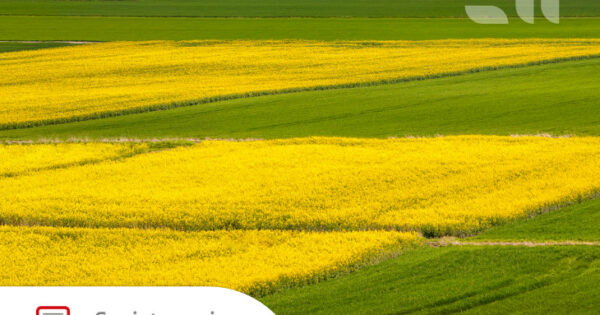 Otvoreno e-Savjetovanje za Prijedlog pravilnika o provedbi intervencije 78.01. Potpora prenošenju znanja