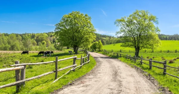 Iskažite interes za sudjelovanje na seminaru “Provedba ZPP-a danas i u budućnosti”