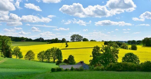 Pridružite se novoj Tematskoj radnoj skupini o Zelenoj arhitekturi u okviru ZPP-a