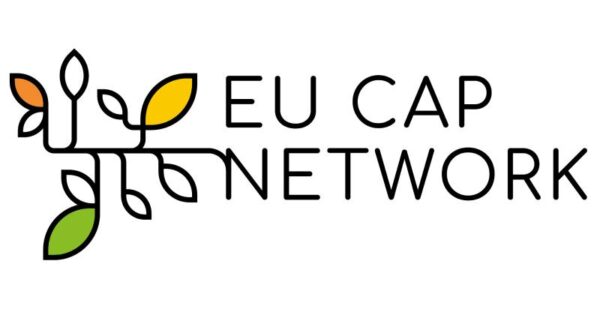Objavljeno izvješće “Research needs from practice 2024”