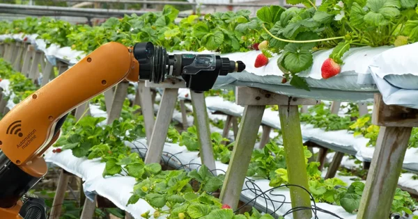 Prijavite se za sudjelovanje na seminaru “Robotika i umjetna inteligencija u poljoprivredi i šumarstvu” u organizaciji EU ZPP mreže