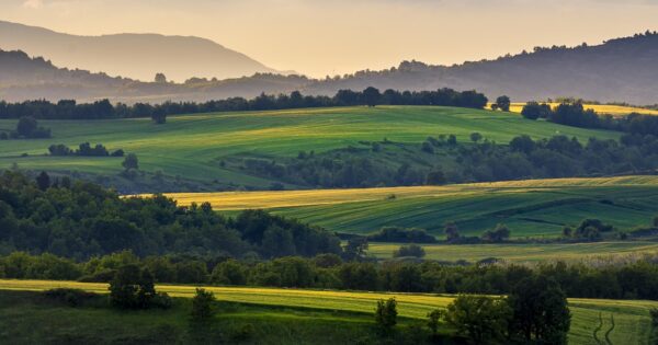 Obavijest poljoprivrednicima koji će podnositi Jedinstveni zahtjev za potporu  za 2024. godinu
